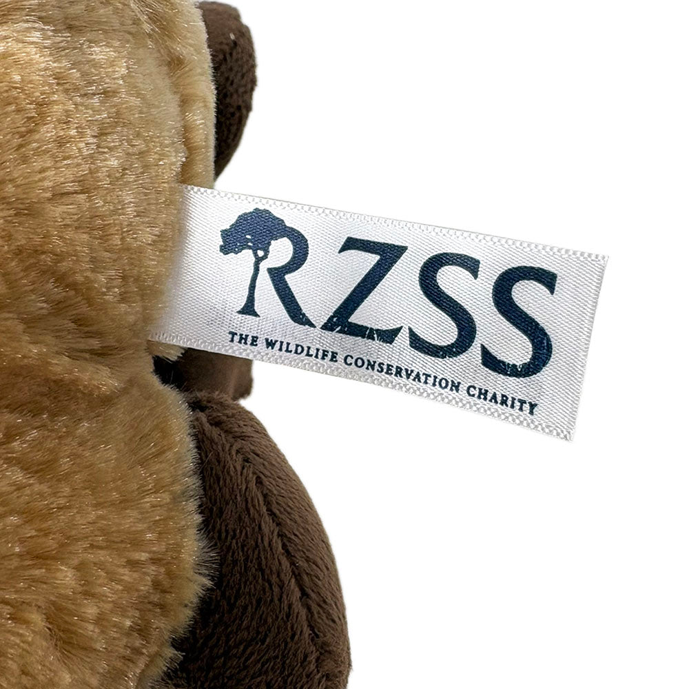 Edinburgh Zoo Capybara Soft Toy - 30cm