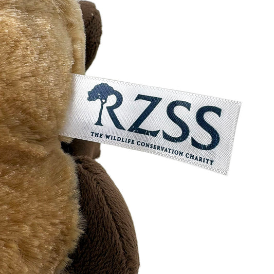 Edinburgh Zoo Capybara Soft Toy - 30cm