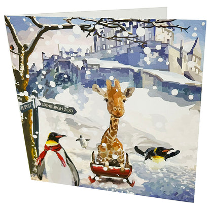 4 Pack of Edinburgh Zoo Giraffe & Penguins Christmas Card