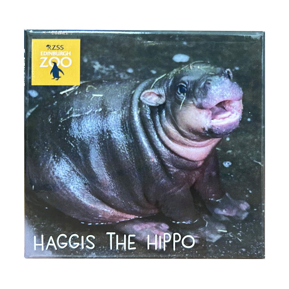 Show your love for Edinburgh Zoo and Haggis The Hippo with this fun magnet.

6.5 x 6.5 cm