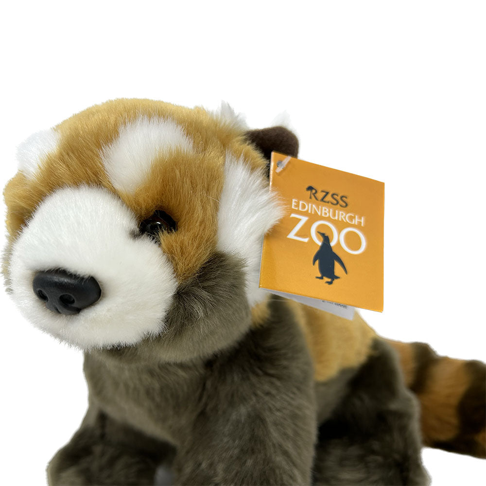 Cuddle up with Edinburgh Zoo's fuzzy-wonderful Millar Ark Red Panda! At 50cm, this soft and plushy pal is the purrrfect size to snuggle up next to you all night long! Plus, your purchase supports the conservation, making it doubly adorable. (Feel free to give yourself a pat on the back!)