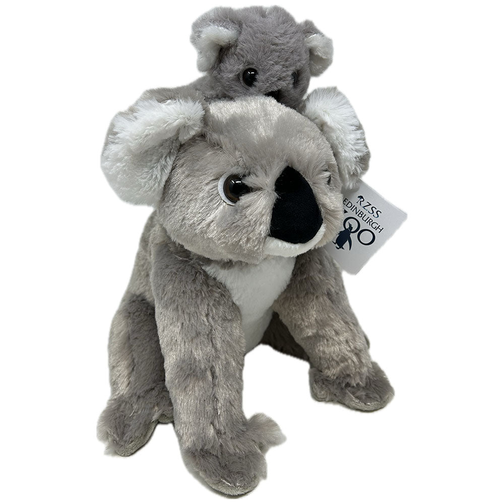 Plush koala bear online