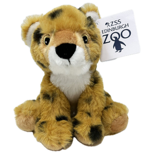 Get your paws on the Edinburgh Zoo branded Cheetah soft toy from the RZSS.

Each super, soft plush toy is made from 100% post consumer recycled&nbsp;PET plastic bottles. Stitched eyes and noses, no beans, whiskers, glitter or sequins.

Approx. 18cm

Hand Wash