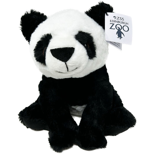 Edinburgh Zoo Panda Eco 25cm - Ravensden