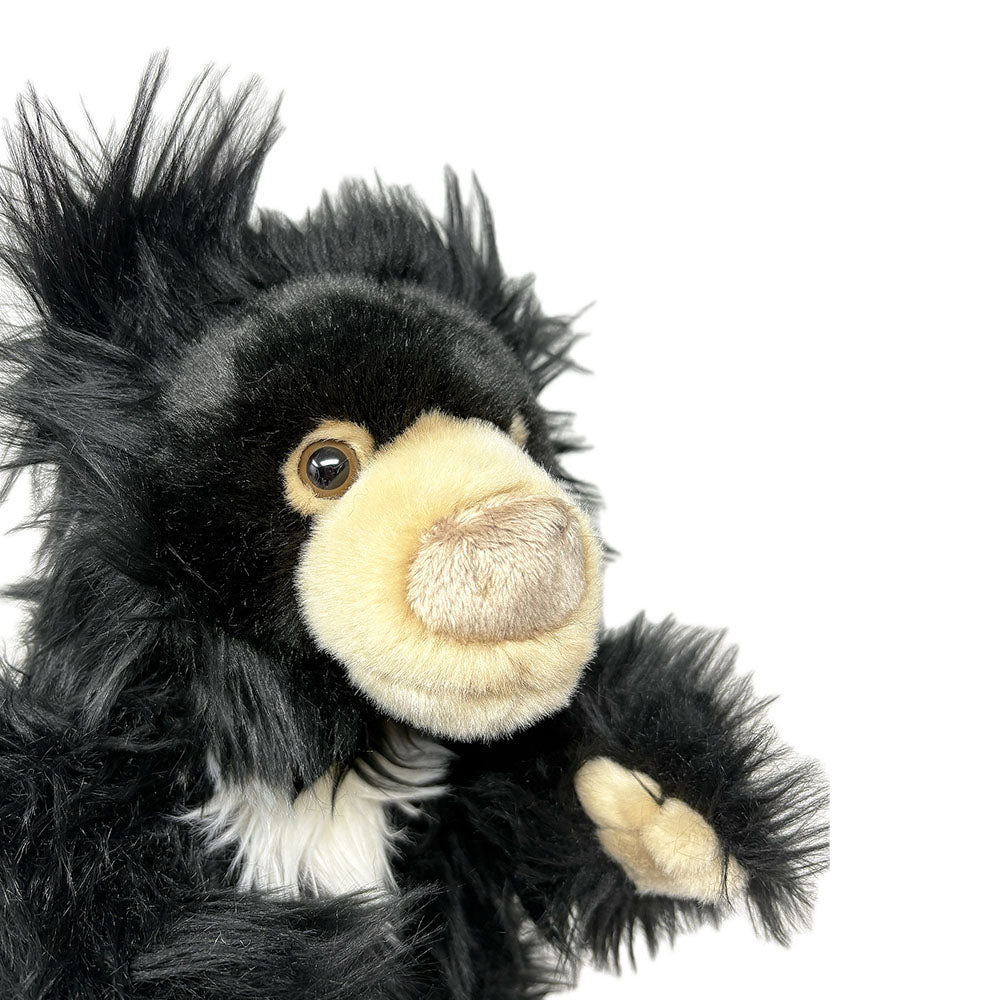 Edinburgh Zoo sloth bear soft toy - 28cm
