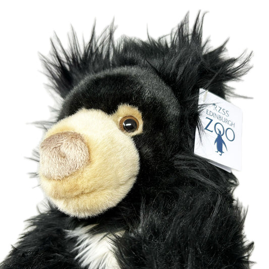 Edinburgh Zoo sloth bear soft toy - 28cm
