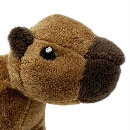 Wild beans capybara