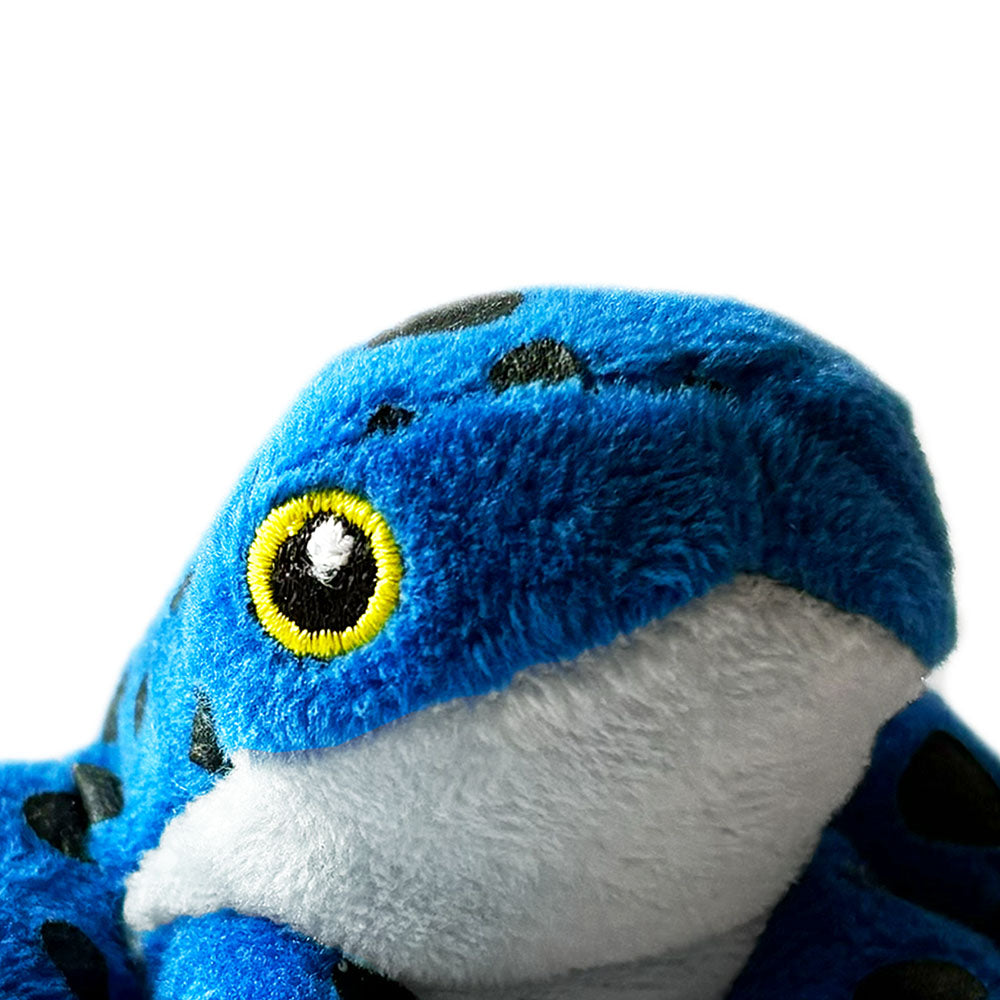 Wild beans poison dart frog