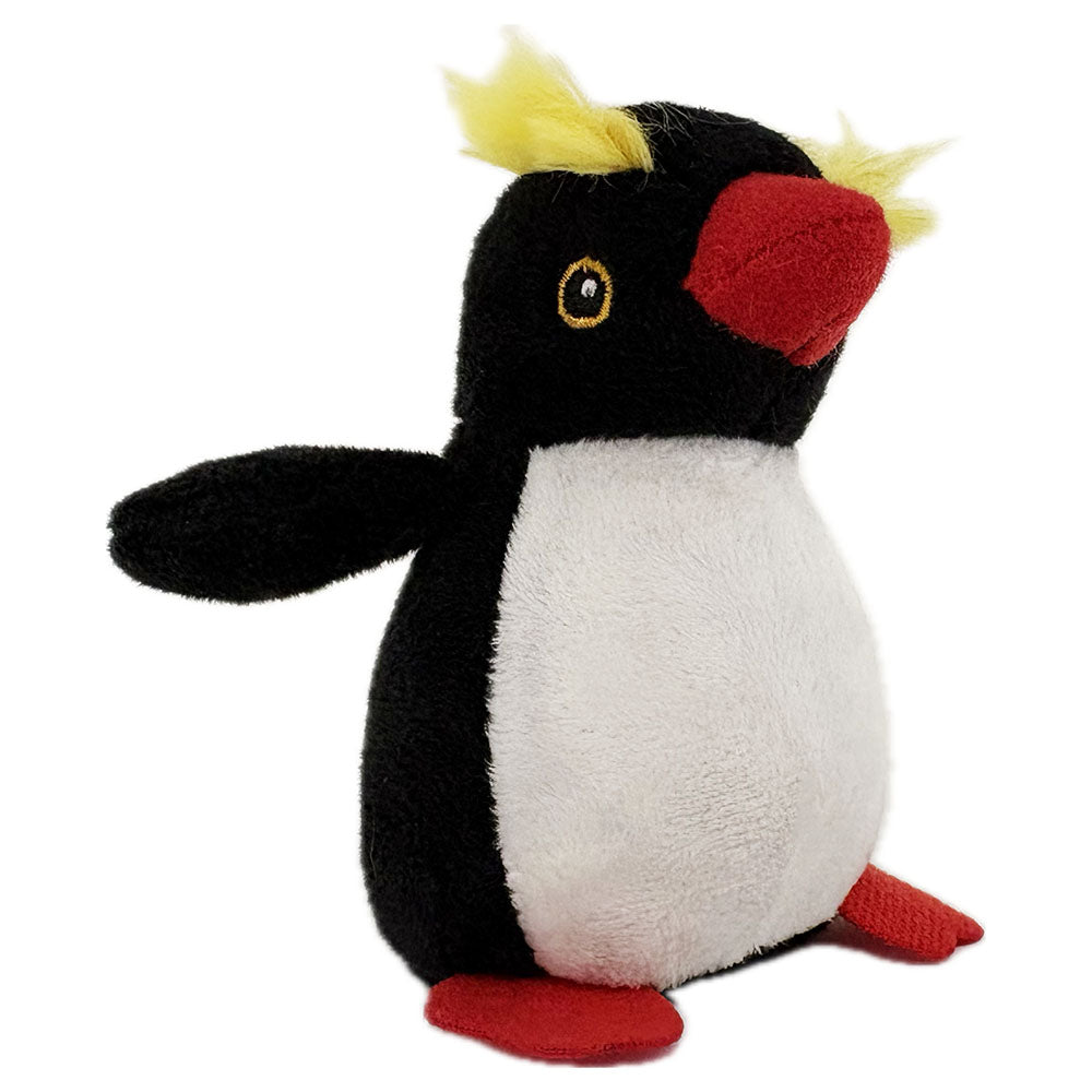 Wild beans rockhopper penguin