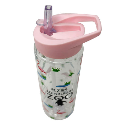 Edinburgh Zoo flamingos water bottle