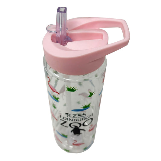 Edinburgh Zoo flamingos water bottle
