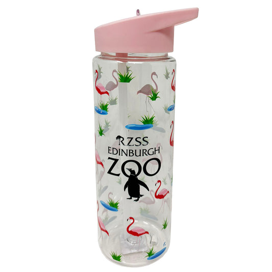 Edinburgh Zoo flamingos water bottle