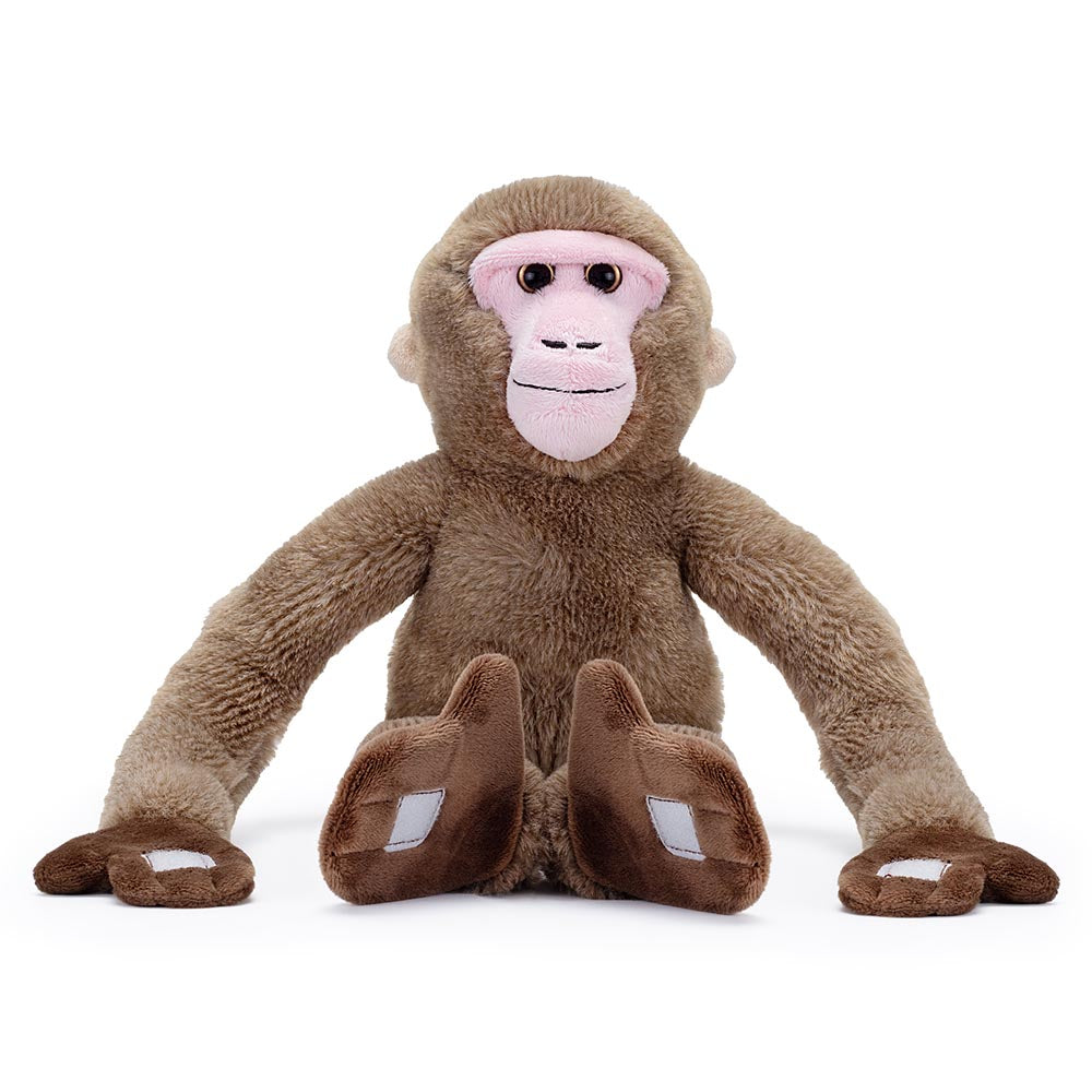 Monkey around with our Hanging Japanese Macaque, branded with the famous RZSS logo. This snow monkey is made from recycled PET materials, making him not only huggable but also good for the environment.

Learn more about our amazing Japanese Macaques here.

47cm