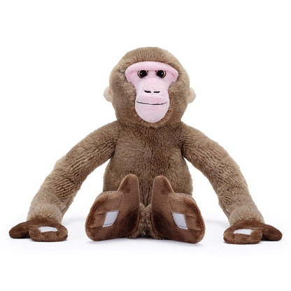 Monkey around with our Hanging Japanese Macaque, branded with the famous RZSS logo. This snow monkey is made from recycled PET materials, making him not only huggable but also good for the environment.

Learn more about our amazing Japanese Macaques here.

47cm