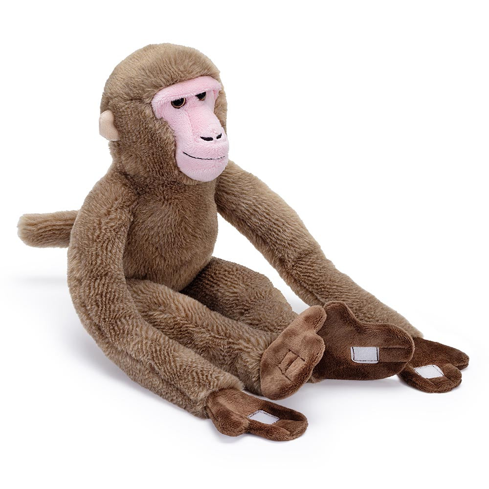 Monkey around with our Hanging Japanese Macaque, branded with the famous RZSS logo. This snow monkey is made from recycled PET materials, making him not only huggable but also good for the environment.

Learn more about our amazing Japanese Macaques here.

47cm
