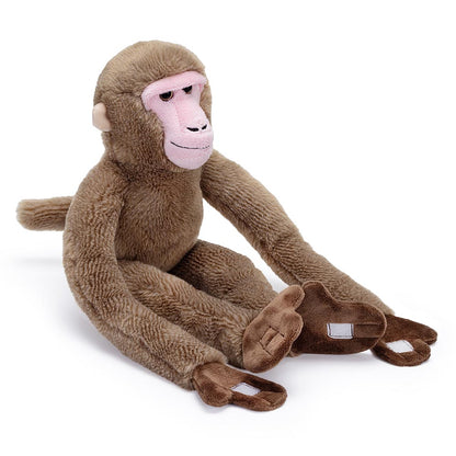Monkey around with our Hanging Japanese Macaque, branded with the famous RZSS logo. This snow monkey is made from recycled PET materials, making him not only huggable but also good for the environment.

Learn more about our amazing Japanese Macaques here.

47cm