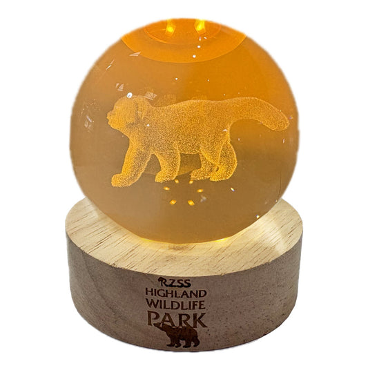 Highland Wildlife Park Red Panda Light Up Crystal Globe