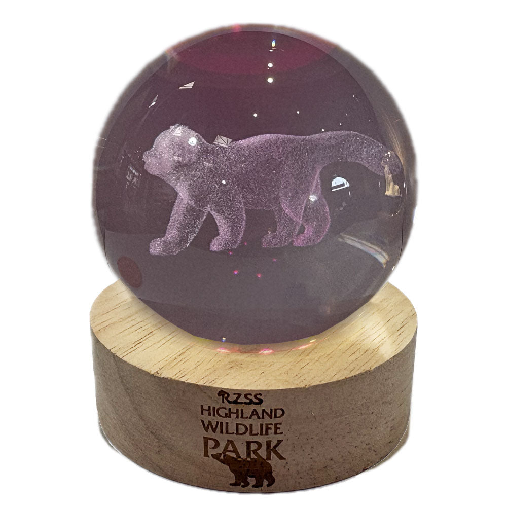 Highland Wildlife Park red panda light up crystal globe