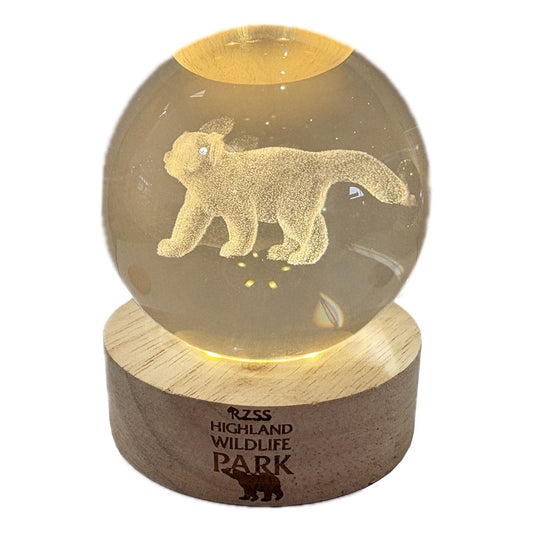 Highland Wildlife Park Red Panda Light Up Crystal Globe