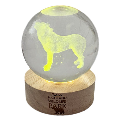 Highland Wildlife Park wolf light up crystal globe
