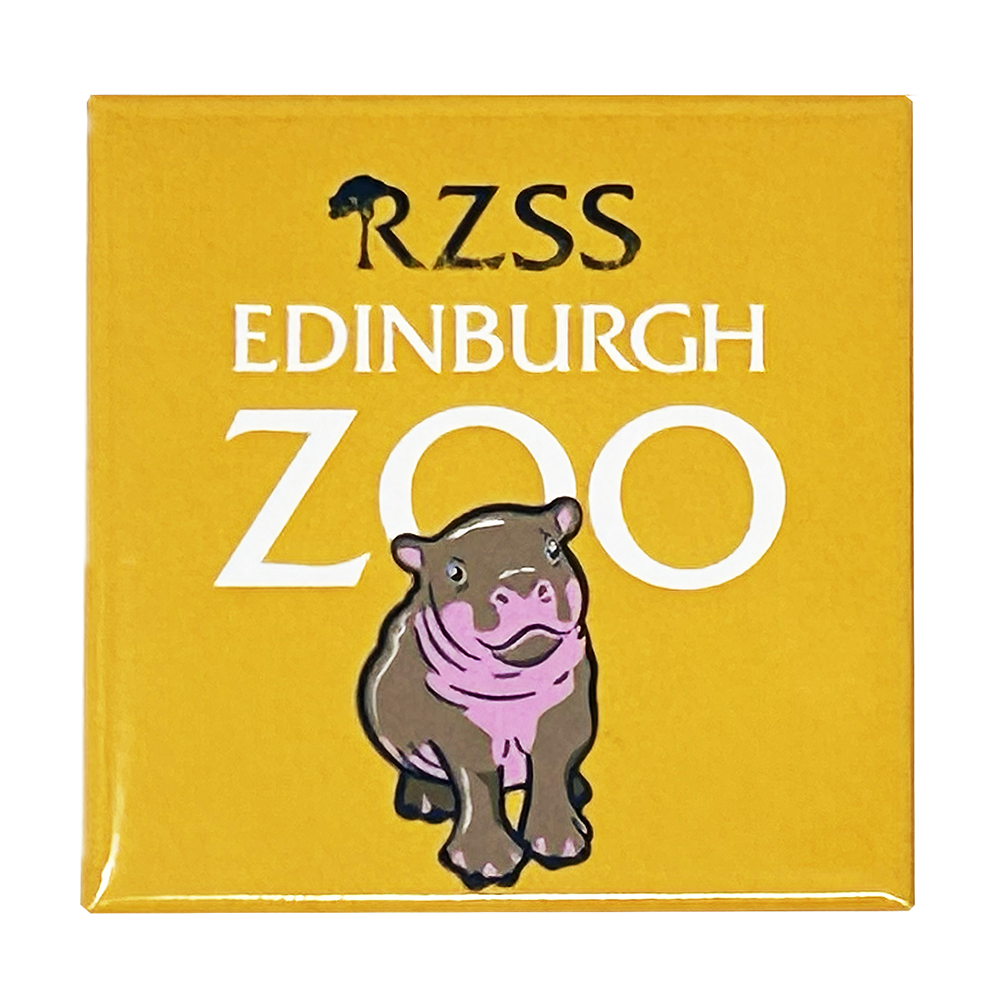 Show your love for Edinburgh Zoo and Haggis The Hippo with this fun magnet.

6.5 x 6.5 cm