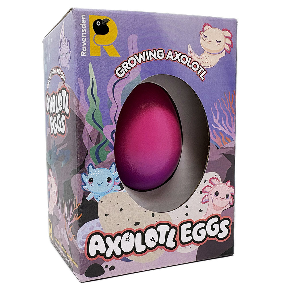 Axolotl Hatching Egg - 6cm