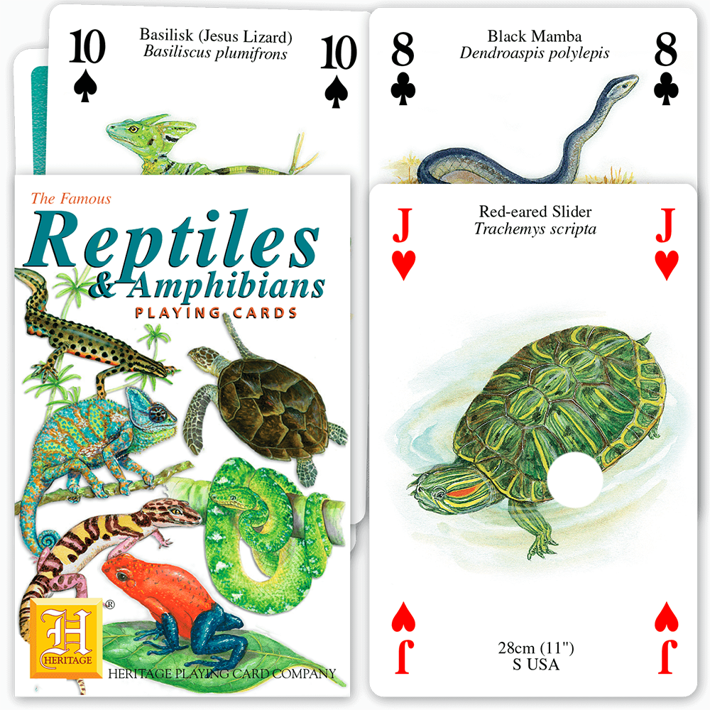 Beautifully illustrated playing cards from Heritage each depicting a species of Reptile or Amphibian. Standard pack of 54 playing cards, each bears a colour painting by John Denaro with species and name.

‎13.46 x 6.1 x 2.54 cm