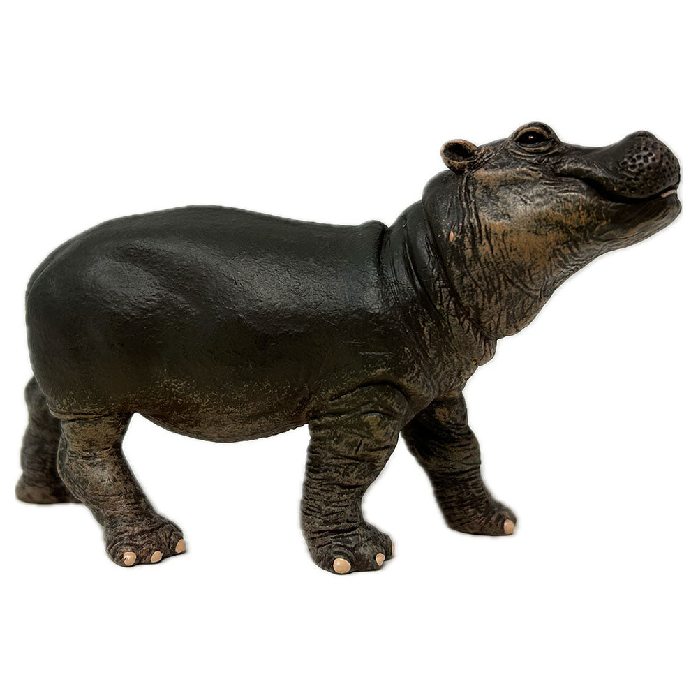 PAPO Hippo calf