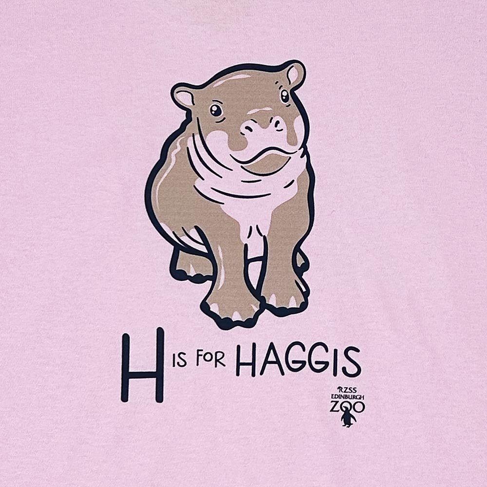 Have a little Hippo style with this Edinburgh Zoo H is for Haggis Baby T-shirt in white. Made from 100% cotton and featuring oor wee Haggis.

Available in ages 1-2 and 2-3.