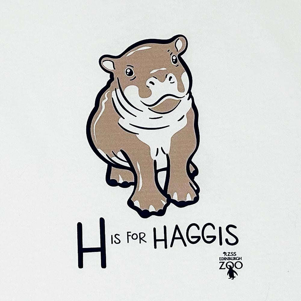 Have a little Hippo style with this Edinburgh Zoo H is for Haggis Baby T-shirt in white. Made from 100% cotton and featuring oor wee Haggis.

Available in ages 1-2 and 2-3.