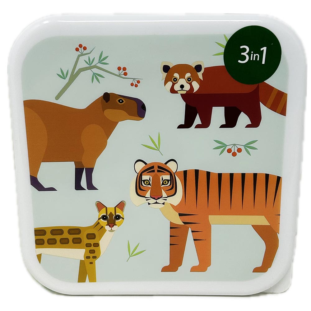 Rainforest Lunchbox Set of 3