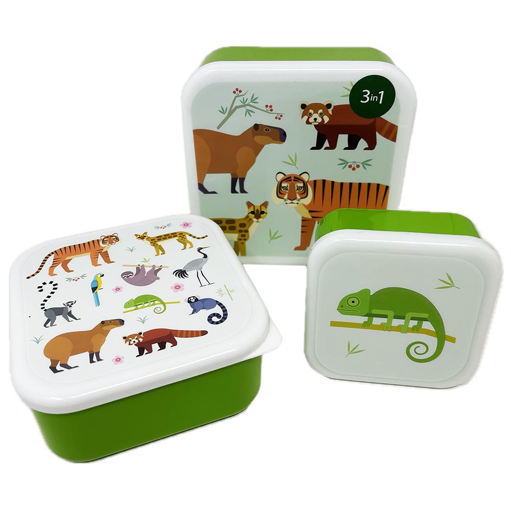 Rainforest Lunchbox Set of 3