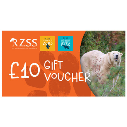 Looking for a wild gift idea but not sure what to get them?

Our Gift Vouchers can be used towards anything from entry to Edinburgh Zoo or the Highland Wildlife Park, to toys and gifts in our gift shops, or to buy lunch in one of our cafes and restaurants around the Zoo or Park.

Vouchers come in denominations of £10, £25 or £50. They can be used at Edinburgh Zoo or at the Highland Wildlife Park.

Vouchers will be sent Recorded Delivery.