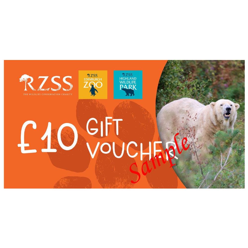 Sloth Rzss RZSS gift voucher - £10 – Royal Zoological Society of Scotland
