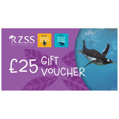 Looking for a wild gift idea but not sure what to get them?

Our Gift Vouchers can be used towards anything from entry to Edinburgh Zoo or the Highland Wildlife Park, to toys and gifts in our gift shops, or to buy lunch in one of our cafes and restaurants around the Zoo or Park.

Vouchers come in denominations of £10, £25 or £50. They can be used at Edinburgh Zoo or at the Highland Wildlife Park.

Vouchers will be sent Recorded Delivery.