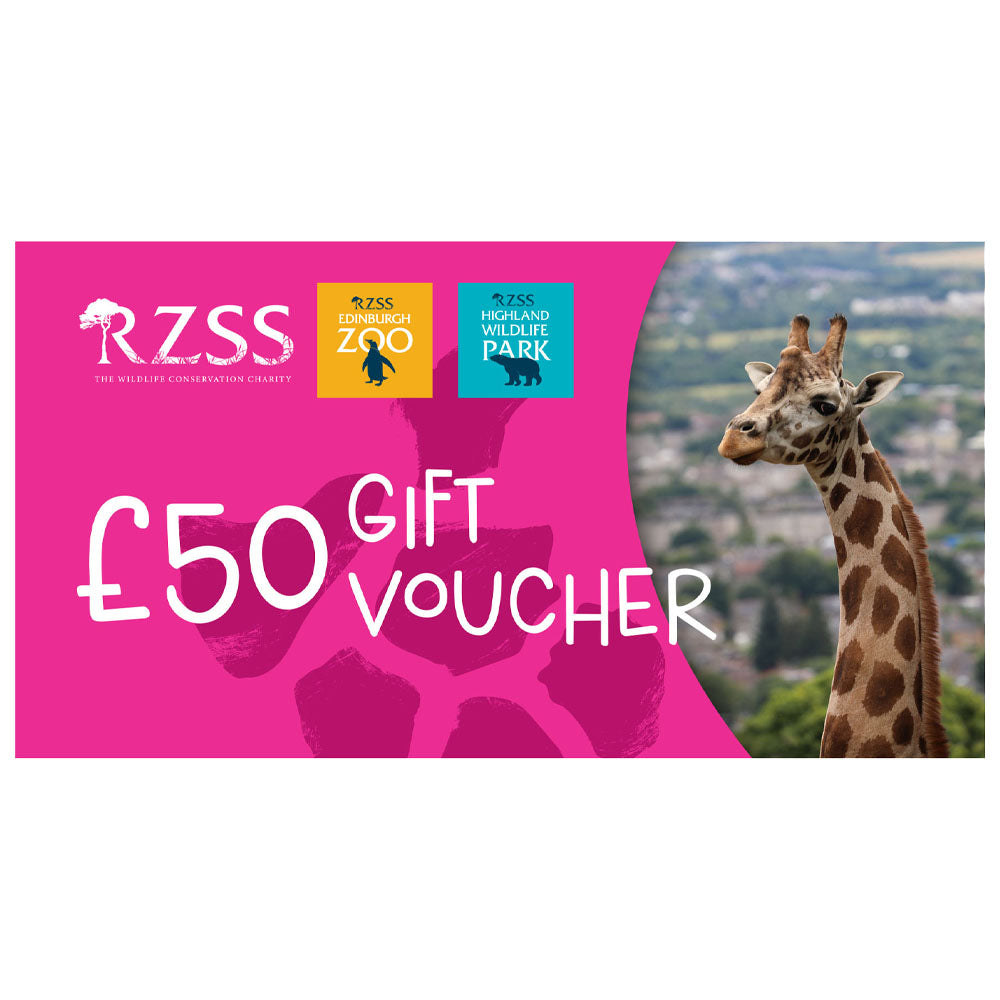 Looking for a wild gift idea but not sure what to get them?

Our Gift Vouchers can be used towards anything from entry to Edinburgh Zoo or the Highland Wildlife Park, to toys and gifts in our gift shops, or to buy lunch in one of our cafes and restaurants around the Zoo or Park.

Vouchers come in denominations of £10, £25 or £50. They can be used at Edinburgh Zoo or at the Highland Wildlife Park.

Vouchers will be sent Recorded Delivery.