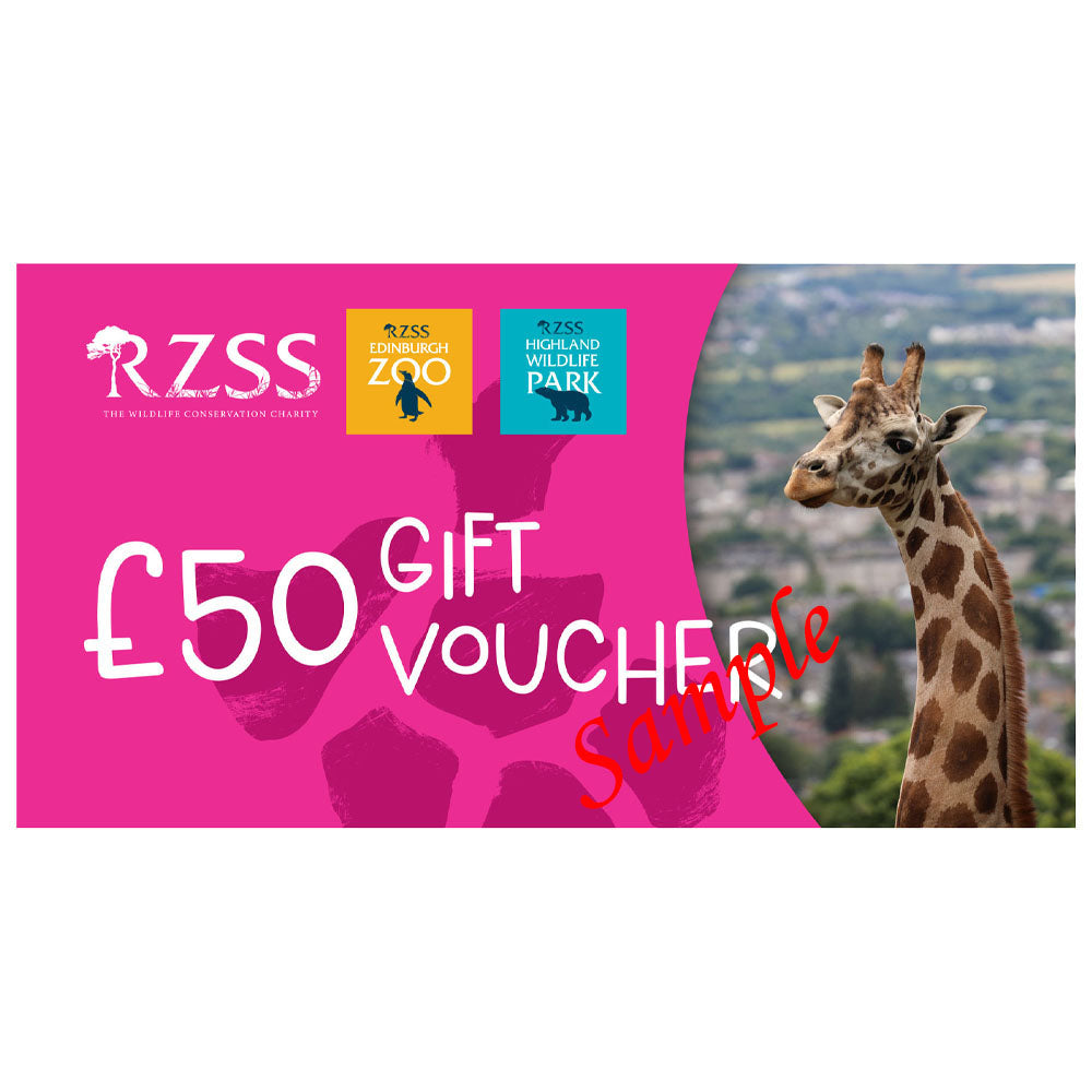 Bee Rzss RZSS gift voucher - £50 – Royal Zoological Society of Scotland