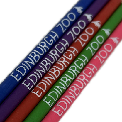 Go green with your writing! These Edinburgh Zoo Pencils come in assorted colours and are made from recycled CD Cases. Perfect for any eco-friendly animal lover (and ideal for jotting down notes during your next trip to the zoo)!