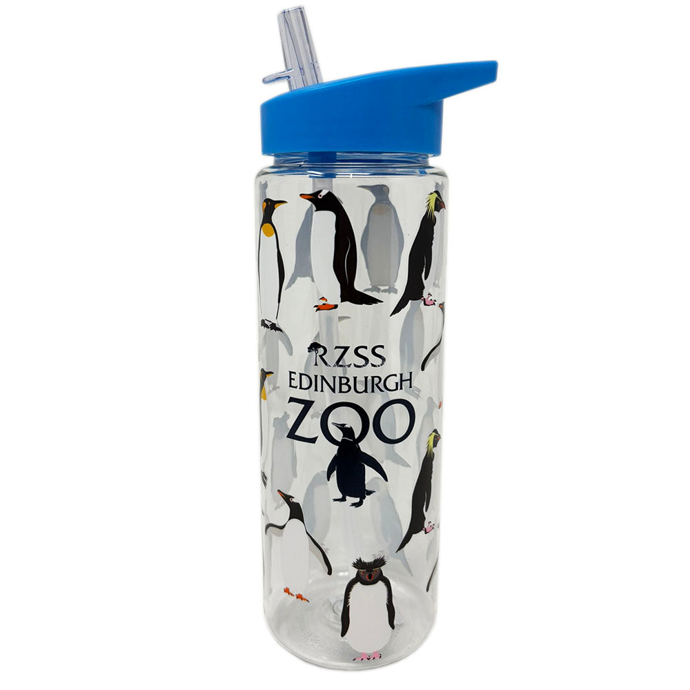 Edinburgh Zoo penguins water bottle