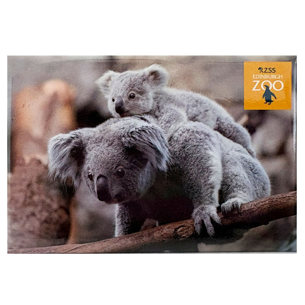 Edinburgh Zoo koala and joey photo magnet