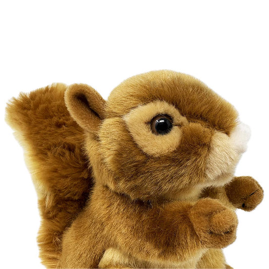 Squirrel Plan M Soft Toy - 18cm