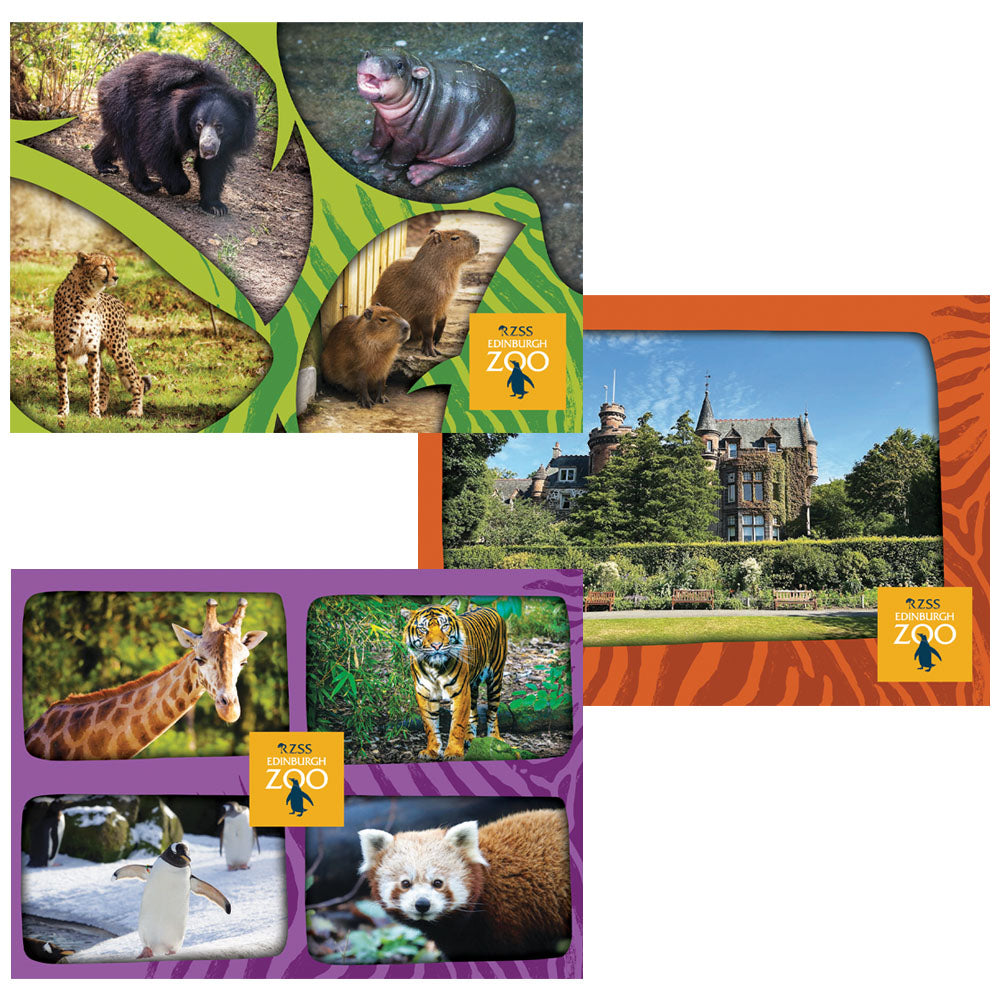 Edinburgh Zoo Postcard Bundle