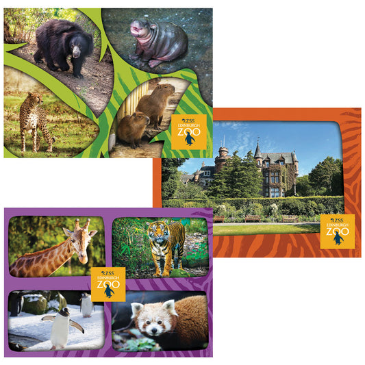 Edinburgh Zoo Postcard Bundle