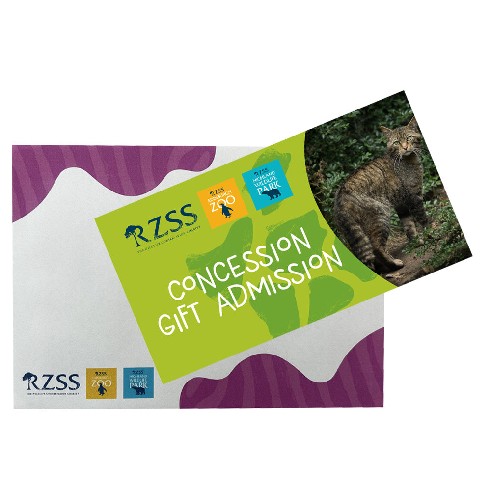 Looking for a wild gift idea but not sure what to get them?

Our Gift E-Vouchers can be used towards anything from entry to Edinburgh Zoo or the Highland Wildlife Park, to toys and gifts in our gift shops, or to buy lunch in one of our cafes and restaurants around the Zoo or Park.

Vouchers come in denominations of £10, £25 or £50. They can be used at Edinburgh Zoo or at the Highland Wildlife Park.