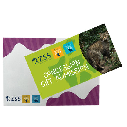 Looking for a wild gift idea but not sure what to get them?

Our Gift E-Vouchers can be used towards anything from entry to Edinburgh Zoo or the Highland Wildlife Park, to toys and gifts in our gift shops, or to buy lunch in one of our cafes and restaurants around the Zoo or Park.

Vouchers come in denominations of £10, £25 or £50. They can be used at Edinburgh Zoo or at the Highland Wildlife Park.