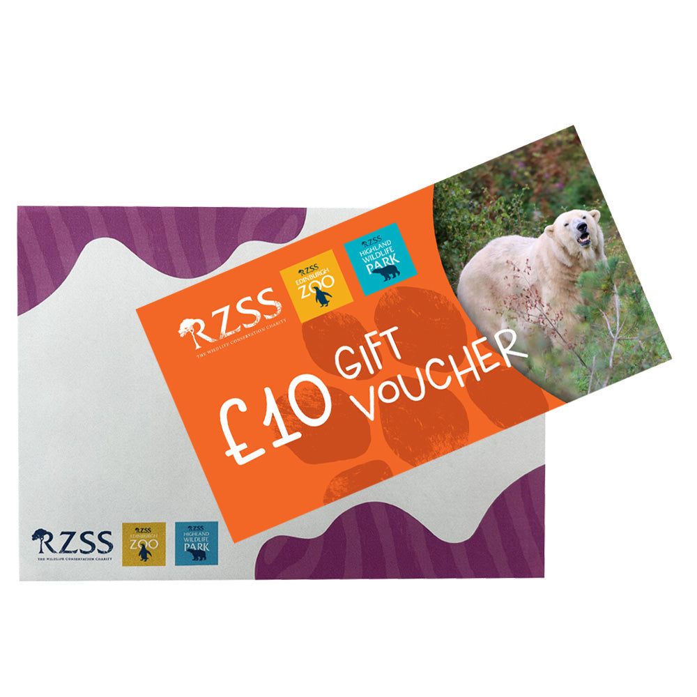 Looking for a wild gift idea but not sure what to get them?

Our Gift Vouchers can be used towards anything from entry to Edinburgh Zoo or the Highland Wildlife Park, to toys and gifts in our gift shops, or to buy lunch in one of our cafes and restaurants around the Zoo or Park.

Vouchers come in denominations of £10, £25 or £50. They can be used at Edinburgh Zoo or at the Highland Wildlife Park.

Vouchers will be sent Recorded Delivery.