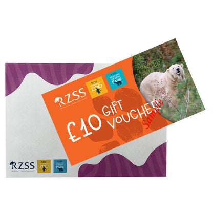 Bee Rzss RZSS gift voucher - £10 – Royal Zoological Society of Scotland
