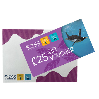 Looking for a wild gift idea but not sure what to get them?

Our Gift Vouchers can be used towards anything from entry to Edinburgh Zoo or the Highland Wildlife Park, to toys and gifts in our gift shops, or to buy lunch in one of our cafes and restaurants around the Zoo or Park.

Vouchers come in denominations of £10, £25 or £50. They can be used at Edinburgh Zoo or at the Highland Wildlife Park.

Vouchers will be sent Recorded Delivery.