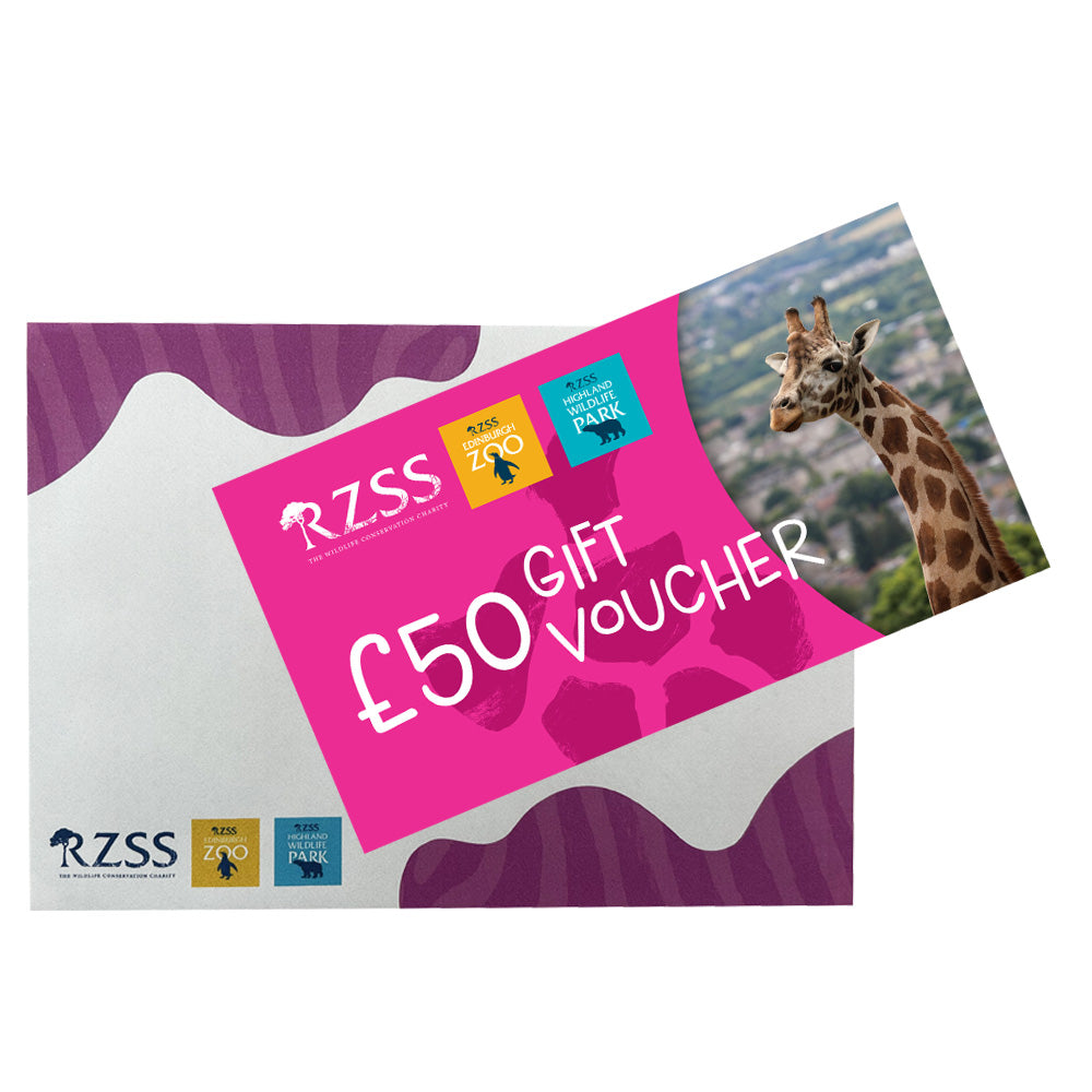 Looking for a wild gift idea but not sure what to get them?

Our Gift Vouchers can be used towards anything from entry to Edinburgh Zoo or the Highland Wildlife Park, to toys and gifts in our gift shops, or to buy lunch in one of our cafes and restaurants around the Zoo or Park.

Vouchers come in denominations of £10, £25 or £50. They can be used at Edinburgh Zoo or at the Highland Wildlife Park.

Vouchers will be sent Recorded Delivery.