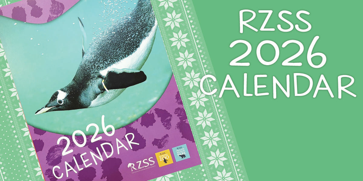 Bee Rzss RZSS Online Shop – Royal Zoological Society of Scotland
